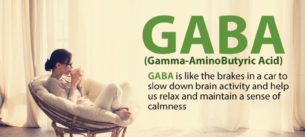 Stress Relax Sleep Well Vitamin GABA Capsule Tablet OEM Your Label Factory Supplier GABA