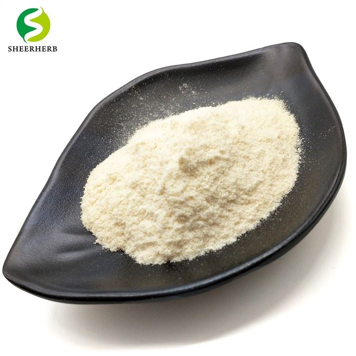 Hydrolyserat vassleproteinisolatpulver