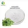 Andrographis Paniculata Extract