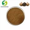 Black Garlic Extract