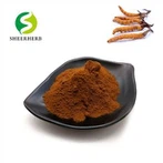Cordyceps extraktpulver