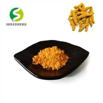 Curcumin pulver